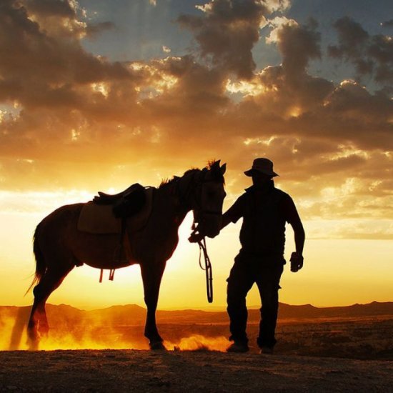 Göreme: Cappadocia Sunset Horse Riding